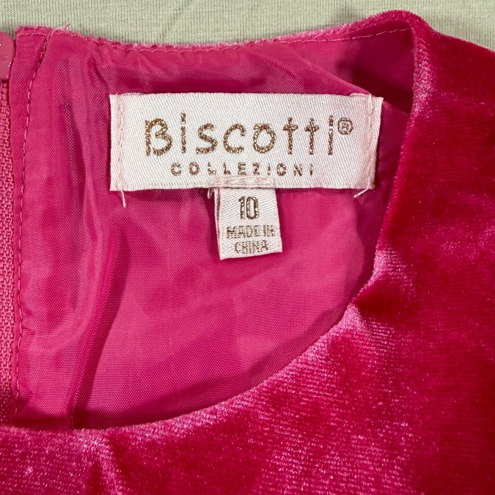 Biscotti Collezioni Girls Hot Pink Velvet Tulle Formal Party Dress Size 10 - Picture 5 of 7
